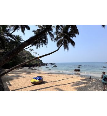 Тур на Гоа из Узбекистана — прямой рейс в место райского отдыха у океана!